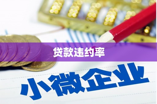 金湖贷款违约率