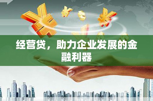 金湖经营贷，助力企业发展的金融利器