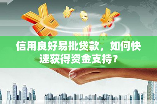 金湖信用良好易批贷款，如何快速获得资金支持？