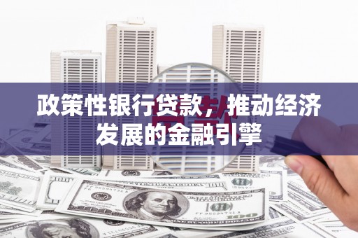 金湖政策性银行贷款，推动经济发展的金融引擎