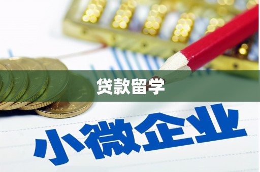 金湖贷款留学