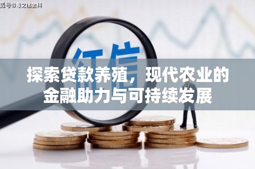 金湖探索贷款养殖，现代农业的金融助力与可持续发展