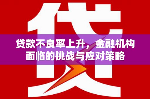金湖贷款不良率上升，金融机构面临的挑战与应对策略