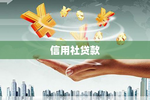 金湖信用社贷款