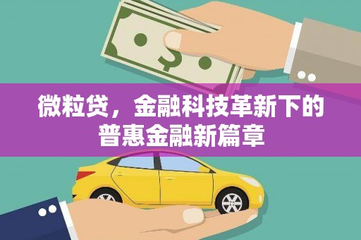金湖微粒贷，金融科技革新下的普惠金融新篇章
