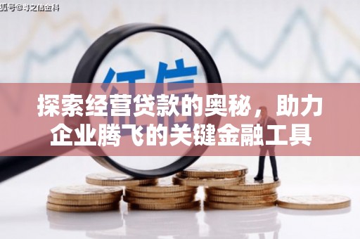 金湖探索经营贷款的奥秘，助力企业腾飞的关键金融工具