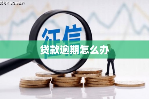金湖贷款逾期怎么办