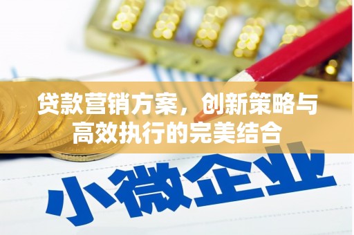 金湖贷款营销方案，创新策略与高效执行的完美结合