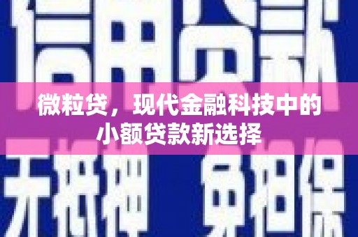 金湖微粒贷，现代金融科技中的小额贷款新选择