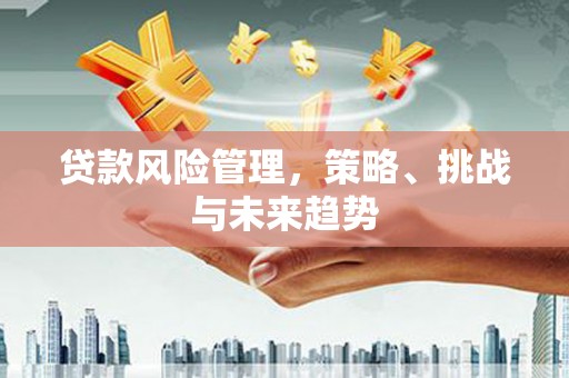 金湖贷款风险管理，策略、挑战与未来趋势