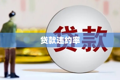 金湖贷款违约率
