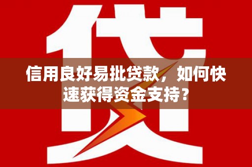 金湖信用良好易批贷款，如何快速获得资金支持？