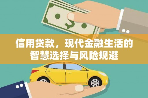 金湖信用贷款，现代金融生活的智慧选择与风险规避
