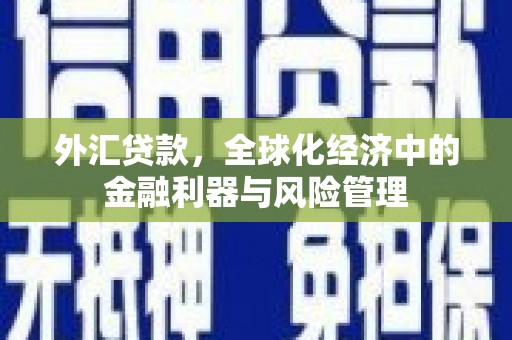 金湖外汇贷款，全球化经济中的金融利器与风险管理