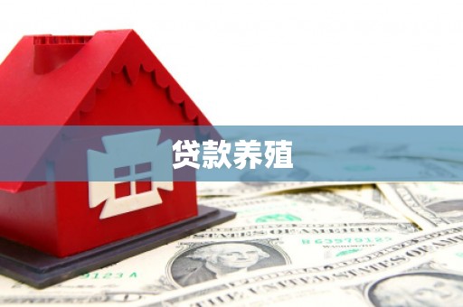 金湖贷款养殖
