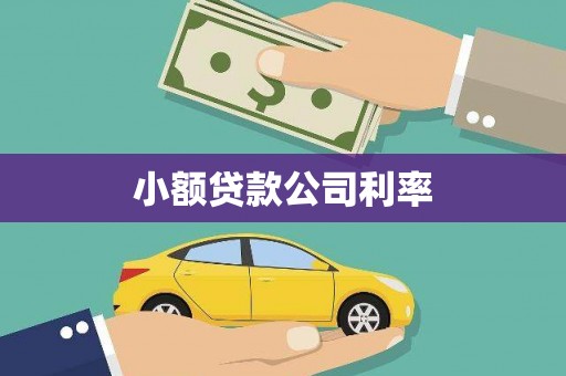 金湖小额贷款公司利率