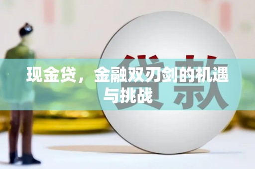 金湖现金贷，金融双刃剑的机遇与挑战