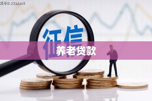 金湖养老贷款