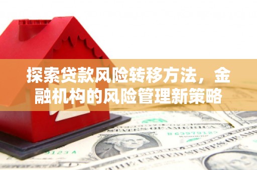金湖探索贷款风险转移方法，金融机构的风险管理新策略