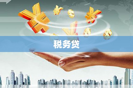 金湖税务贷