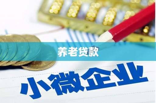 金湖养老贷款