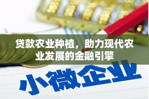 金湖贷款农业种植，助力现代农业发展的金融引擎