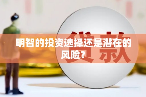 金湖明智的投资选择还是潜在的风险？