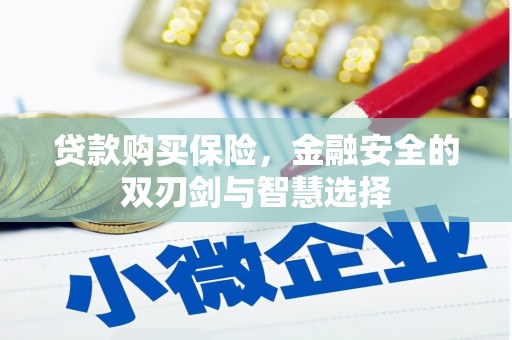 金湖贷款购买保险，金融安全的双刃剑与智慧选择