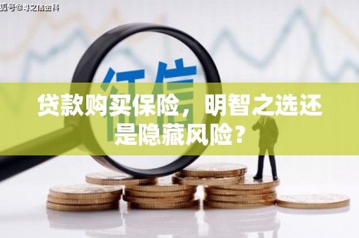 金湖贷款购买保险，明智之选还是隐藏风险？