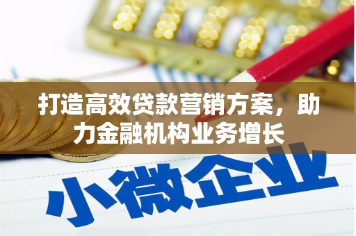 金湖打造高效贷款营销方案，助力金融机构业务增长
