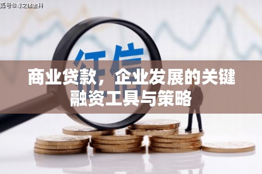 金湖商业贷款，企业发展的关键融资工具与策略