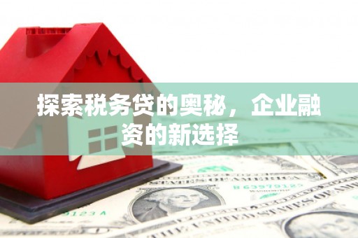 金湖探索税务贷的奥秘，企业融资的新选择