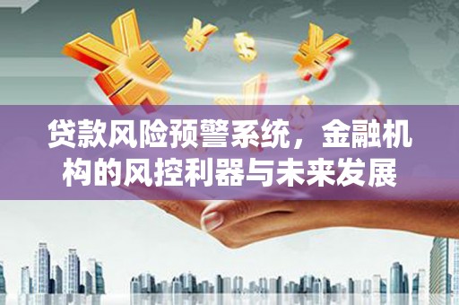金湖贷款风险预警系统，金融机构的风控利器与未来发展