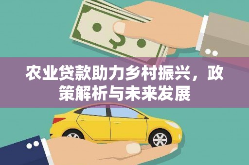 金湖农业贷款助力乡村振兴，政策解析与未来发展