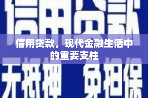 金湖信用贷款，现代金融生活中的重要支柱