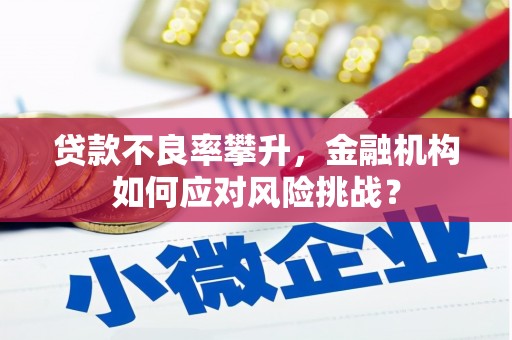 金湖贷款不良率攀升，金融机构如何应对风险挑战？
