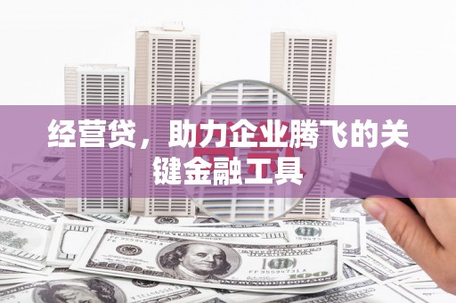 金湖经营贷，助力企业腾飞的关键金融工具