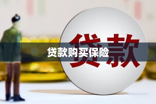 金湖贷款购买保险