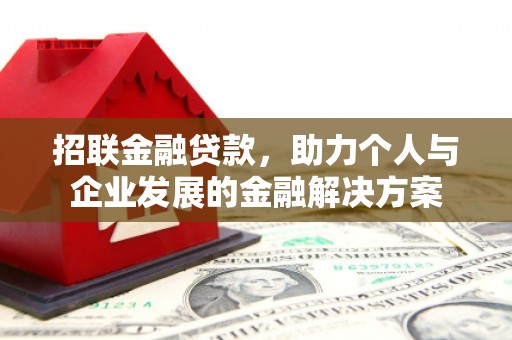 金湖招联金融贷款，助力个人与企业发展的金融解决方案