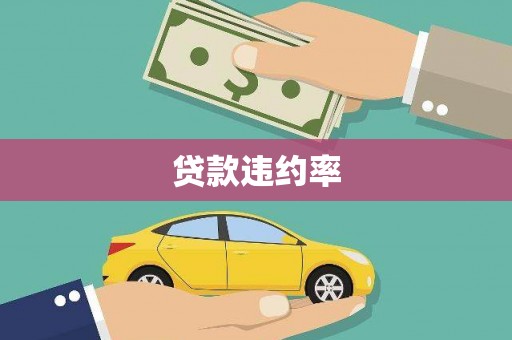 金湖贷款违约率