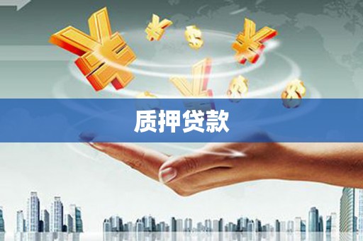 金湖质押贷款