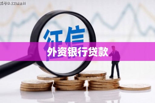 金湖外资银行贷款