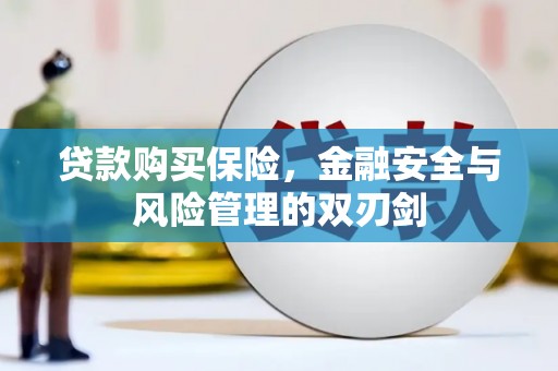 金湖贷款购买保险，金融安全与风险管理的双刃剑