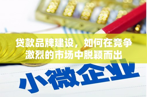 金湖贷款品牌建设，如何在竞争激烈的市场中脱颖而出