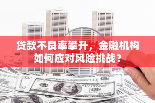 金湖贷款不良率攀升，金融机构如何应对风险挑战？