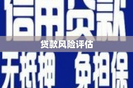 金湖贷款风险评估