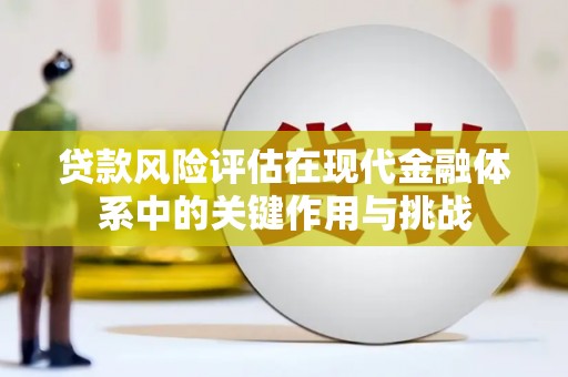 金湖贷款风险评估在现代金融体系中的关键作用与挑战