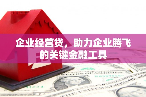 金湖企业经营贷，助力企业腾飞的关键金融工具