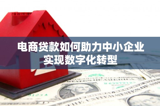 金湖电商贷款如何助力中小企业实现数字化转型