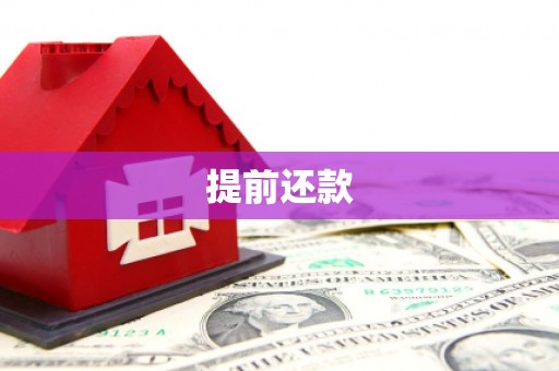 金湖提前还款